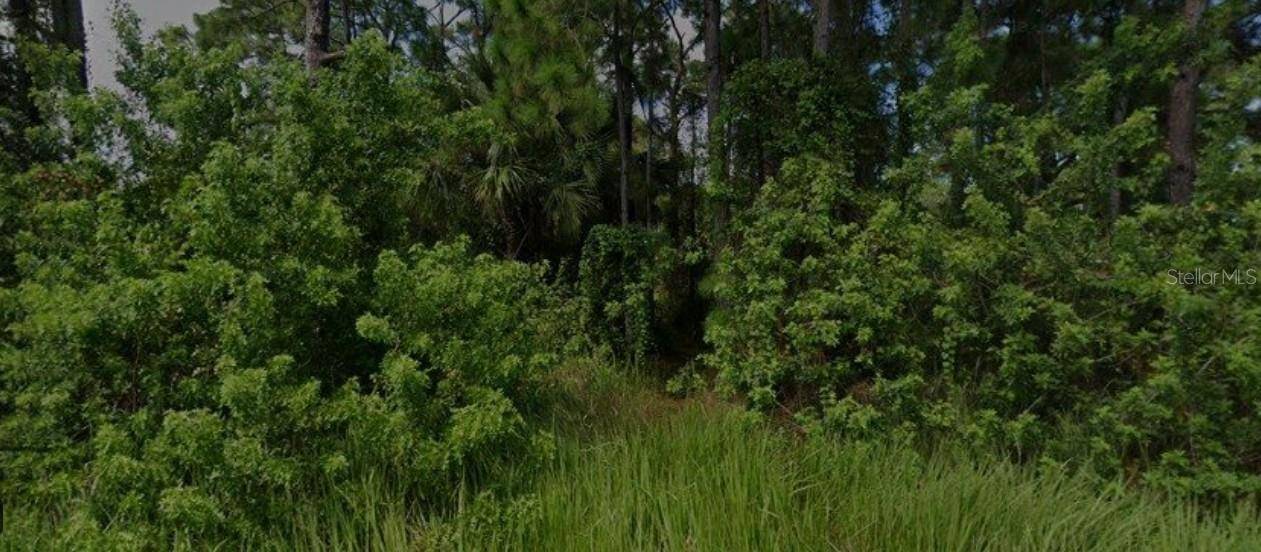 Palm Bay, FL 32908,447 TRUMPET ST SW