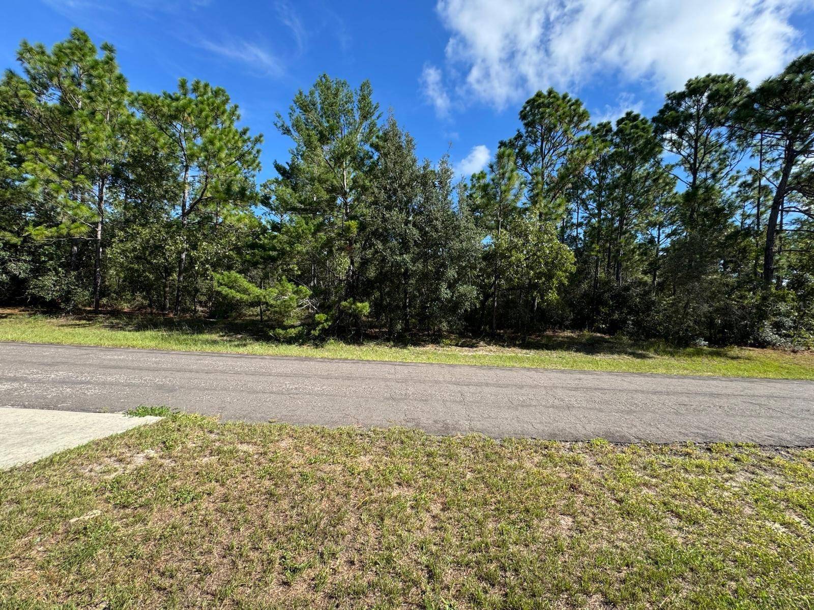 Citrus Springs, FL 34433,3747 W FLORENTINE DR