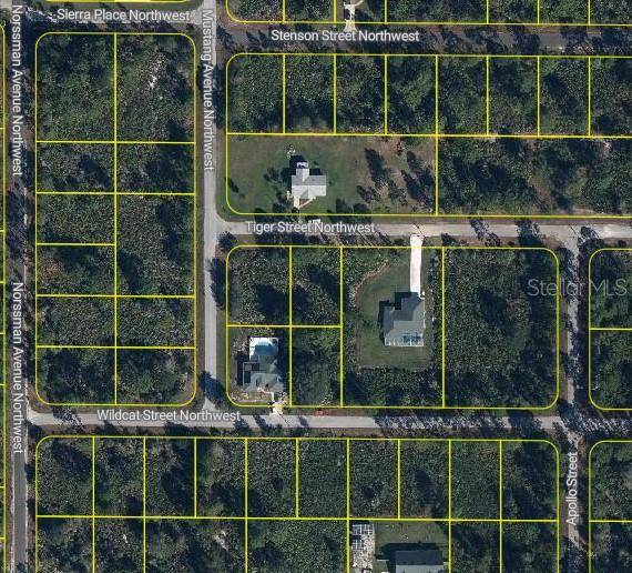 Lake Placid, FL 33852,444 TIGER ST NW
