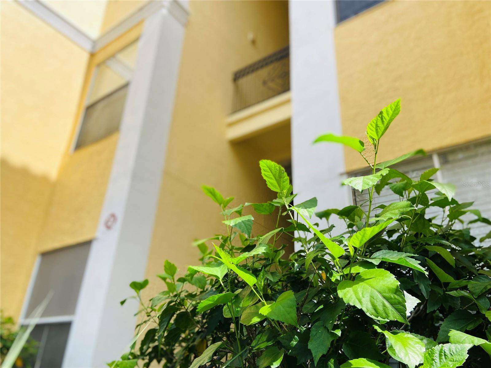 Maitland, FL 32751,Address not disclosed