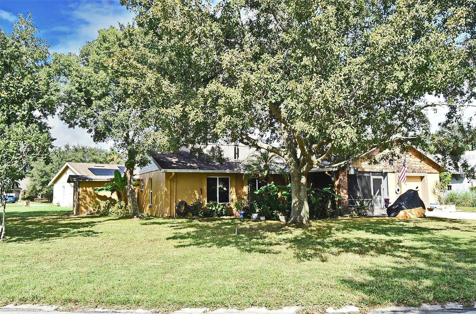 Kissimmee, FL 34759,31 CHIP CT