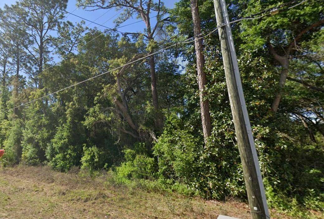 Ocklawaha, FL 32179,SE 17TH LN