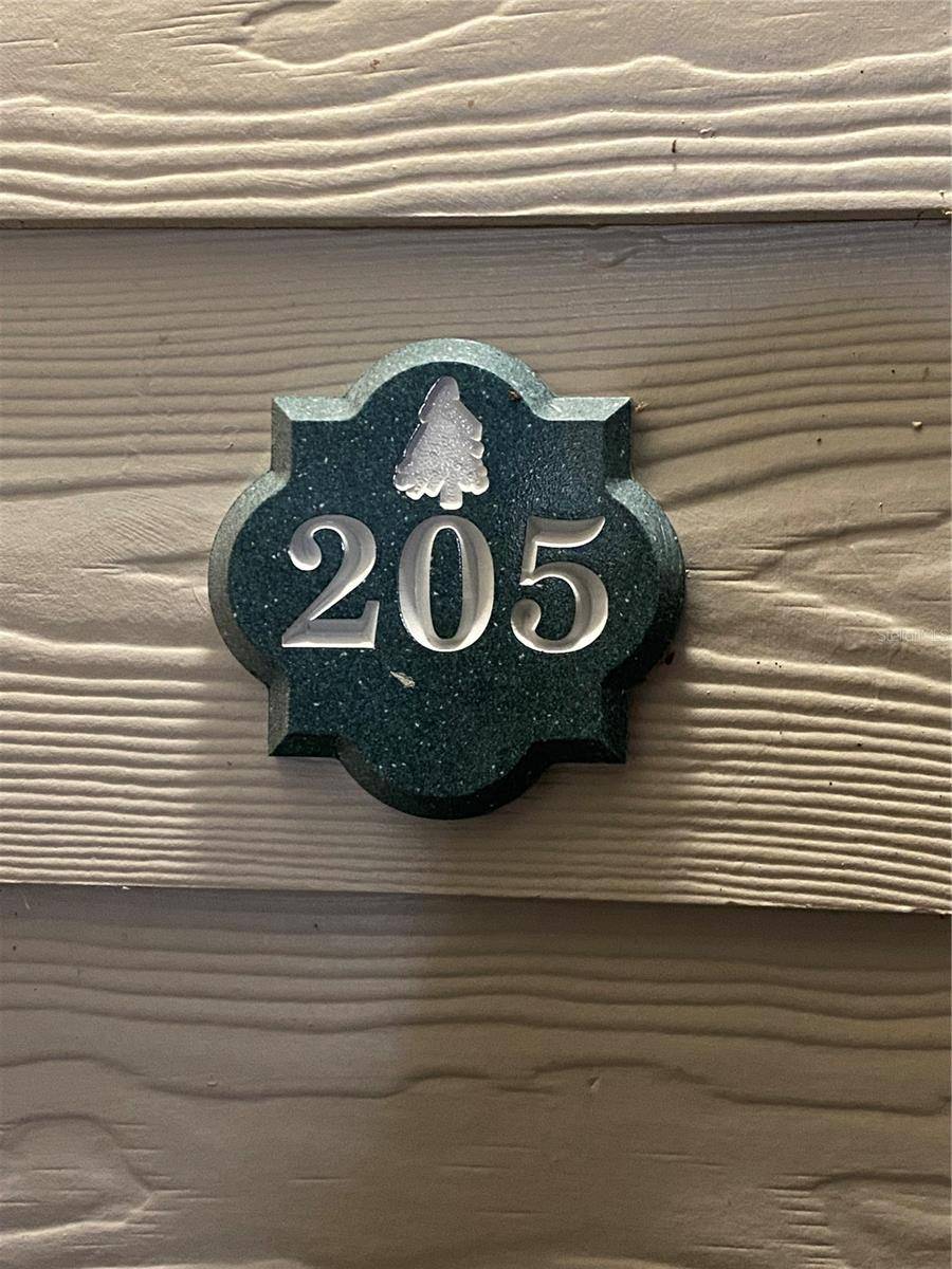 Winter Garden, FL 34787,316 SOUTHERN PECAN CIR #205