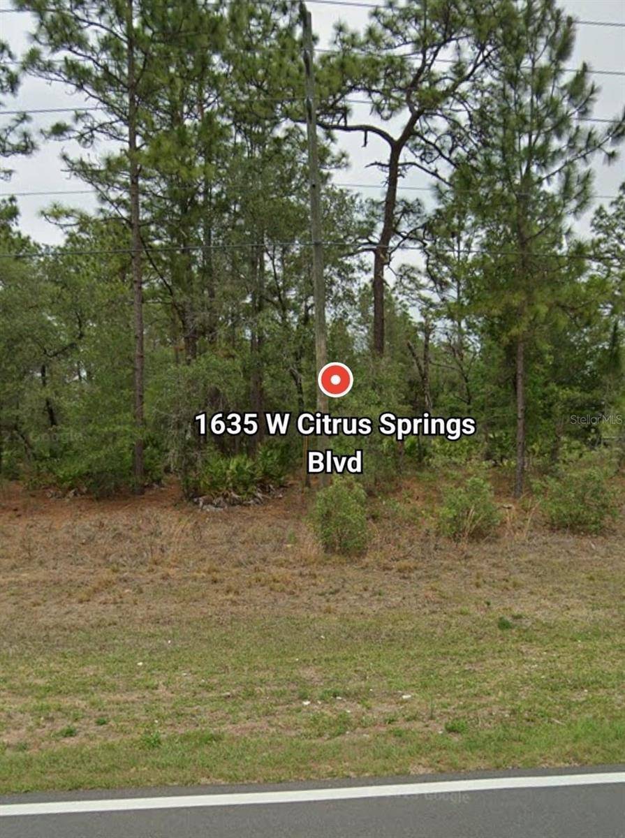 Citrus Springs, FL 34434,1635 W CITRUS SPRINGS BLVD
