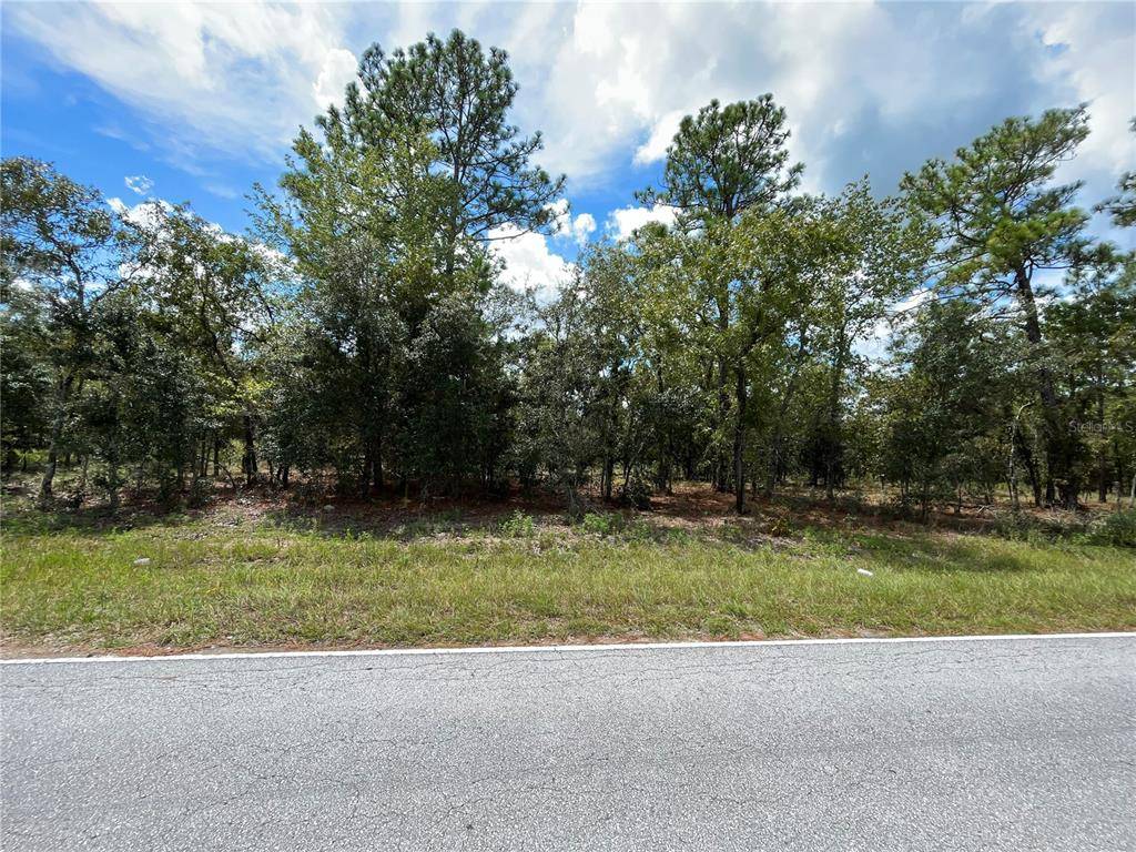 Dunnellon, FL 34431,TBD NW FAIRVIEW AVE