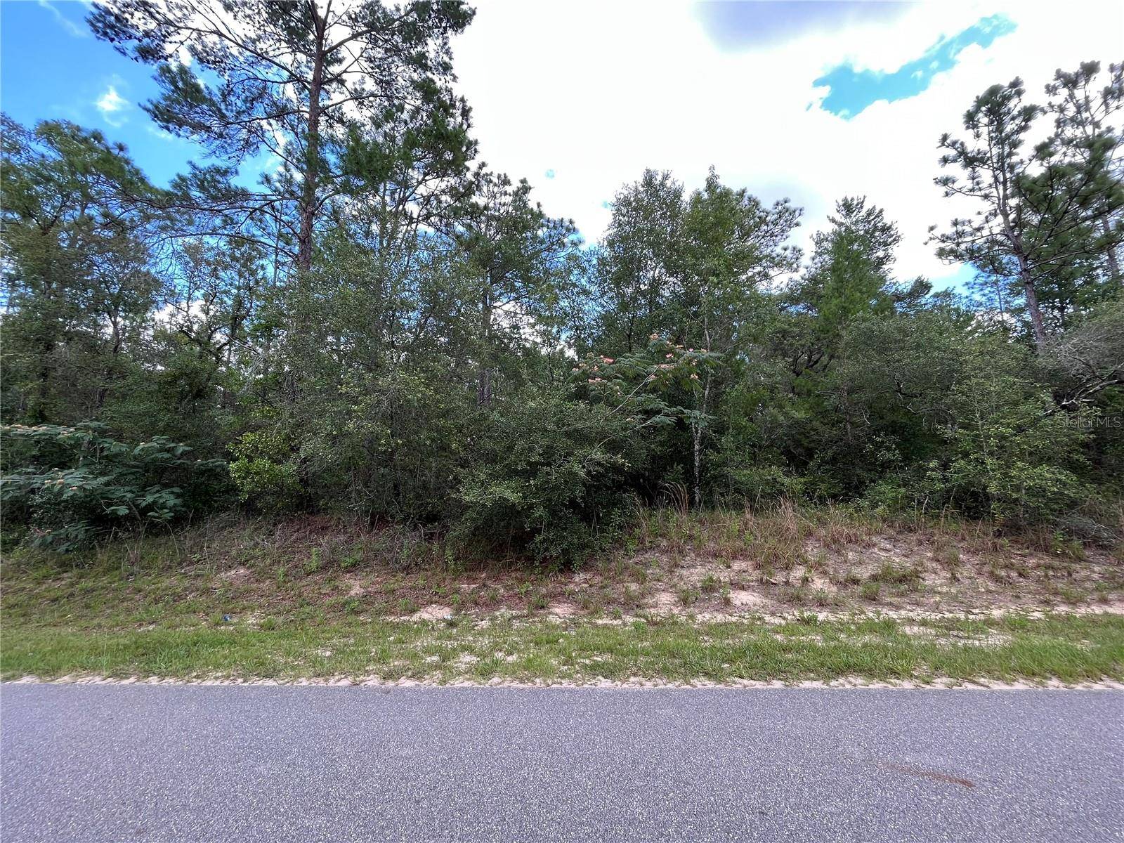 Keystone Heights, FL 32656,7059 CLEMSON ST