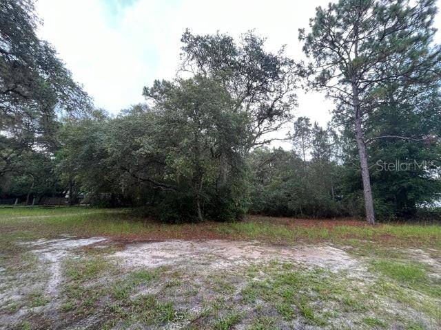 Georgetown, FL 32139,121 HAMPTON CIR