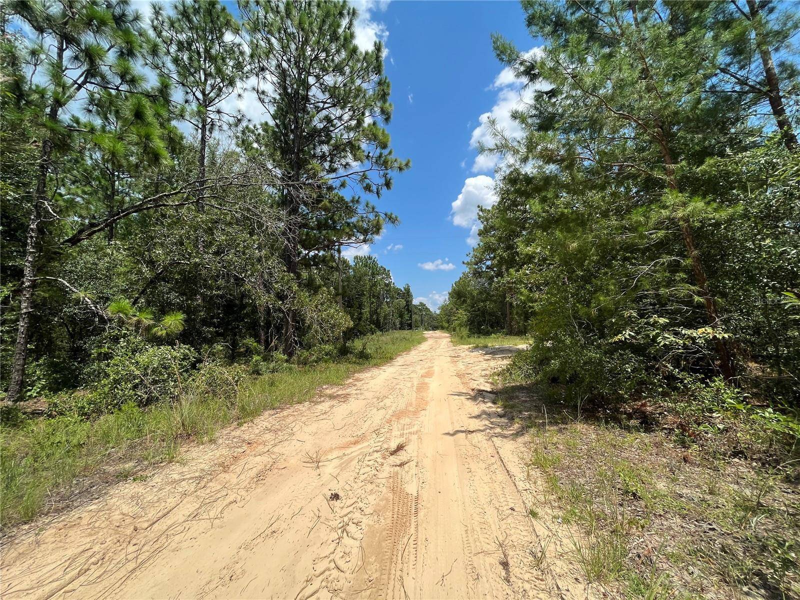 Keystone Heights, FL 32656,7210 CAMBRIDGE ST