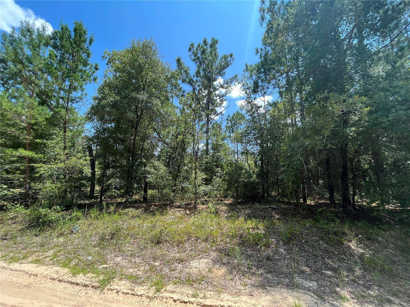 Keystone Heights, FL 32656,7210 CAMBRIDGE ST