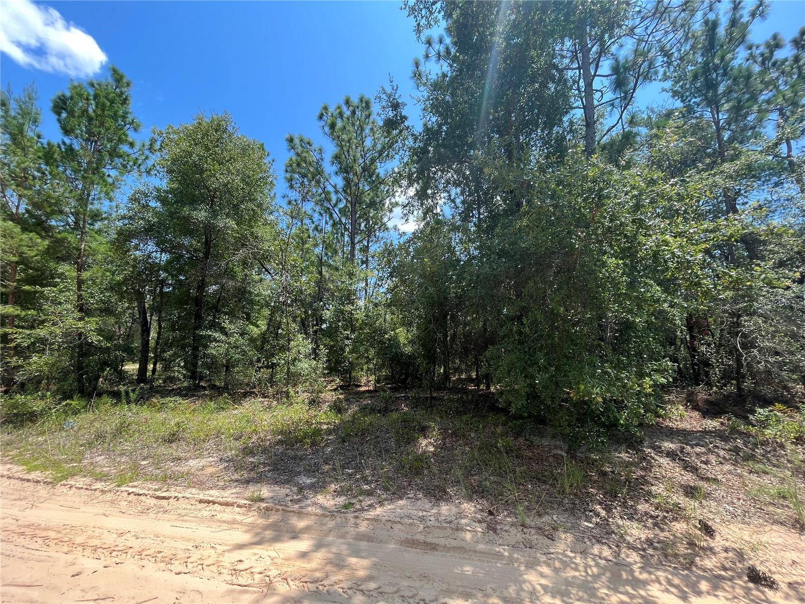 Keystone Heights, FL 32656,7210 CAMBRIDGE ST