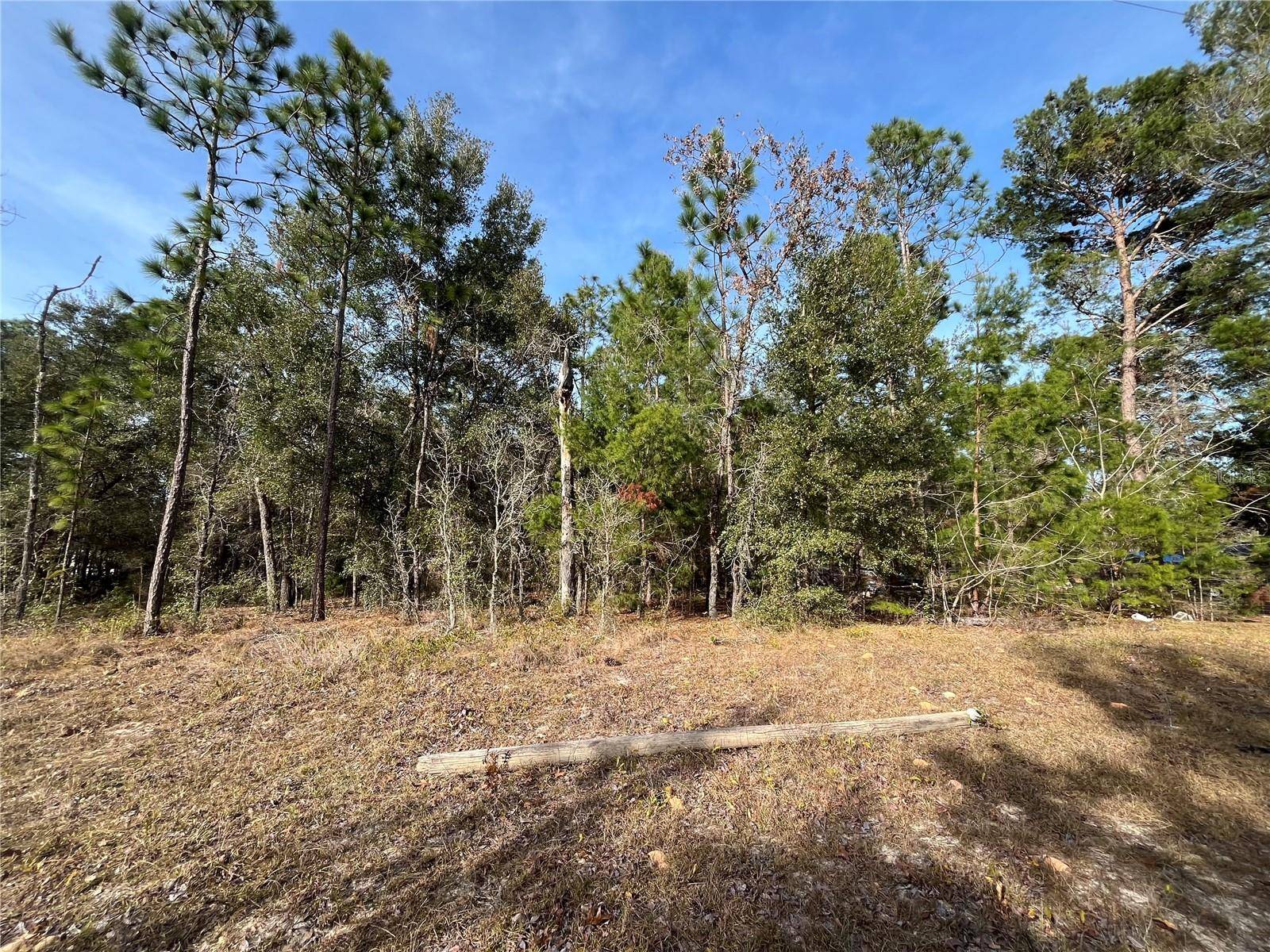Keystone Heights, FL 32656,6168 EMORY AVE
