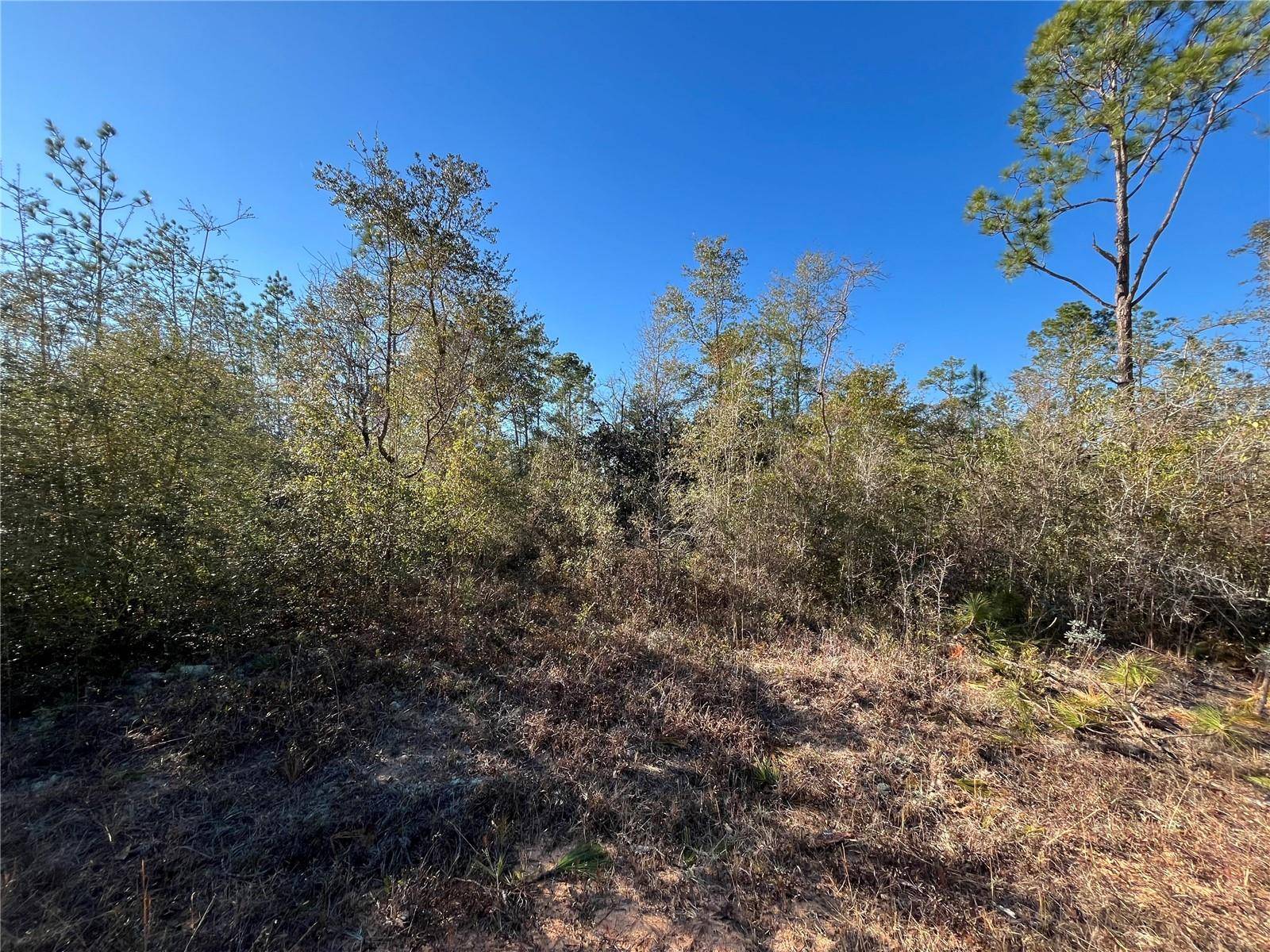 Alford, FL 32420,APALACHICOLA AVE