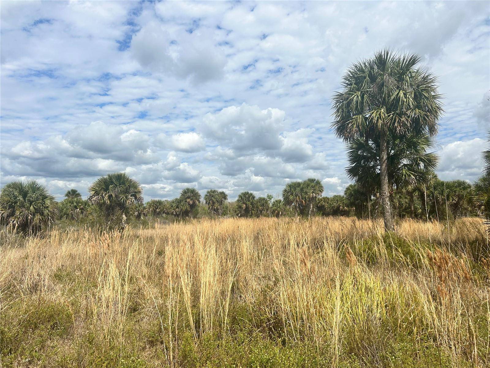 Okeechobee, FL 34972,20809 NW 280TH ST