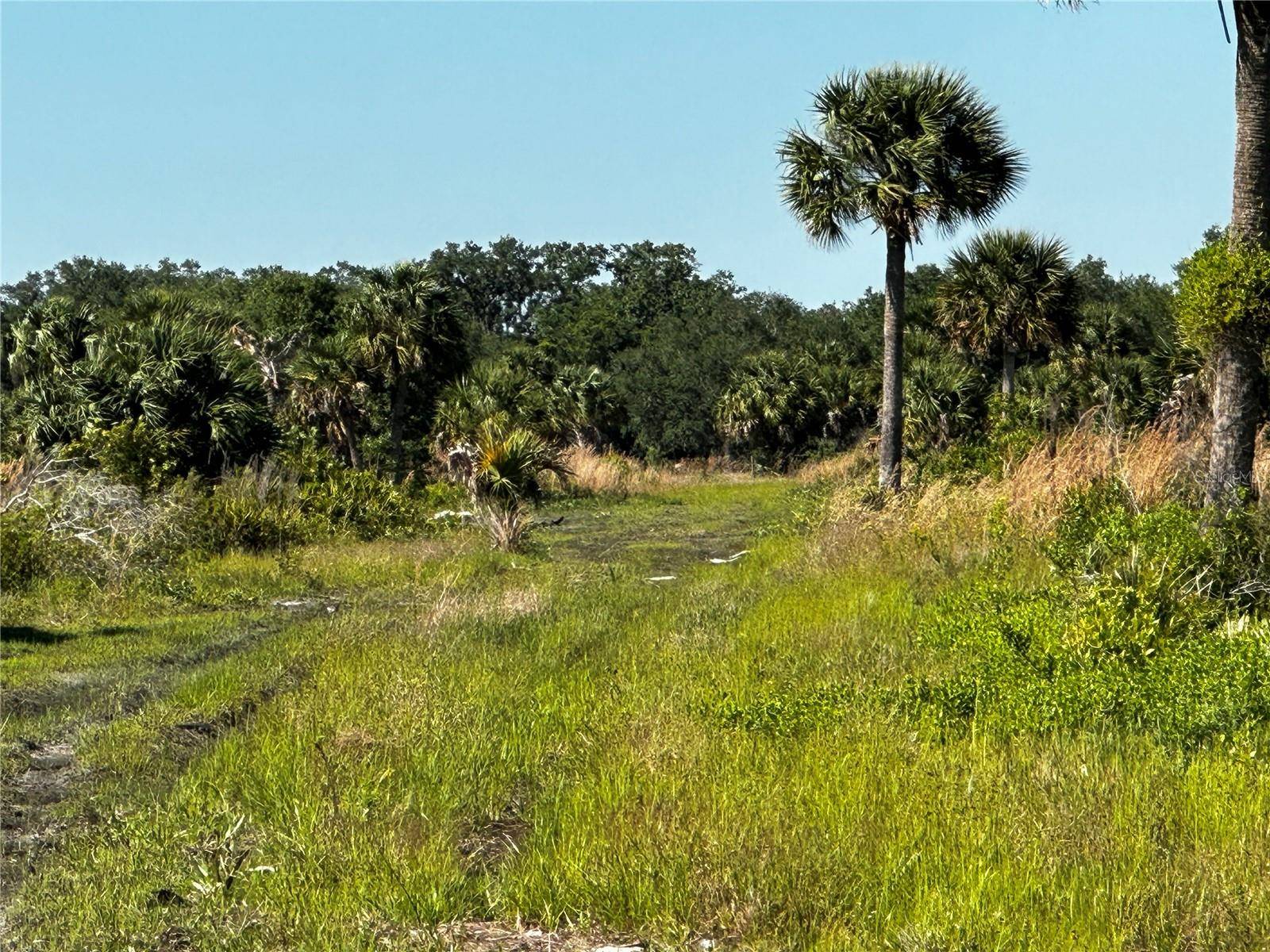 Okeechobee, FL 34974,1189 CABBAGE TRL