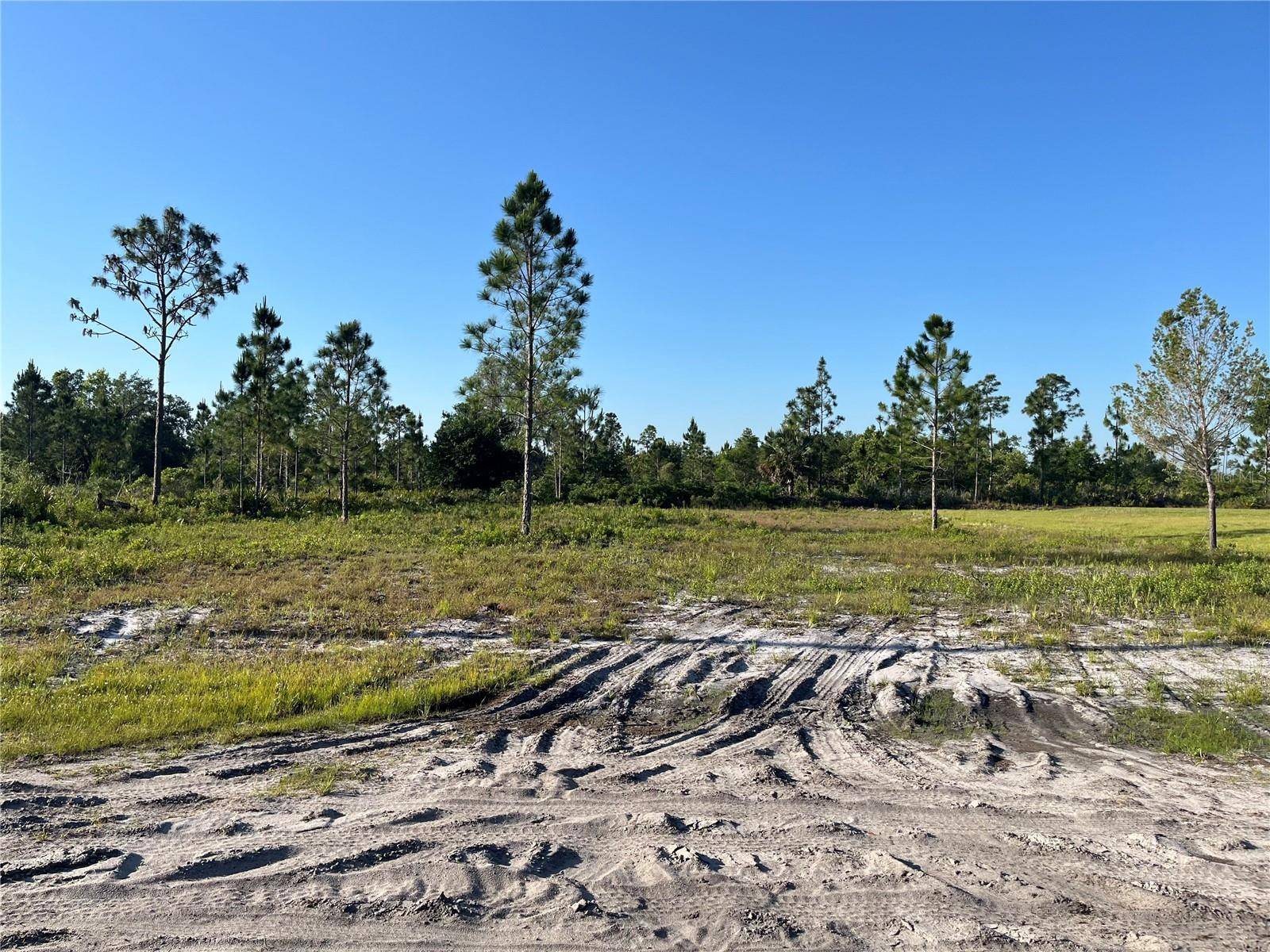 Indian Lake Estates, FL 33855,CALENDULA DR