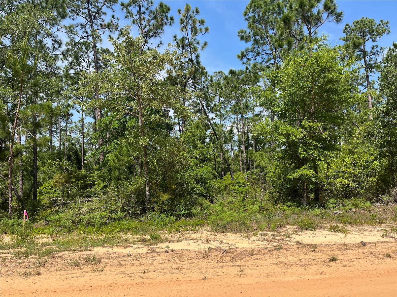 Alford, FL 32420,HOLLY SPRINGS AVE
