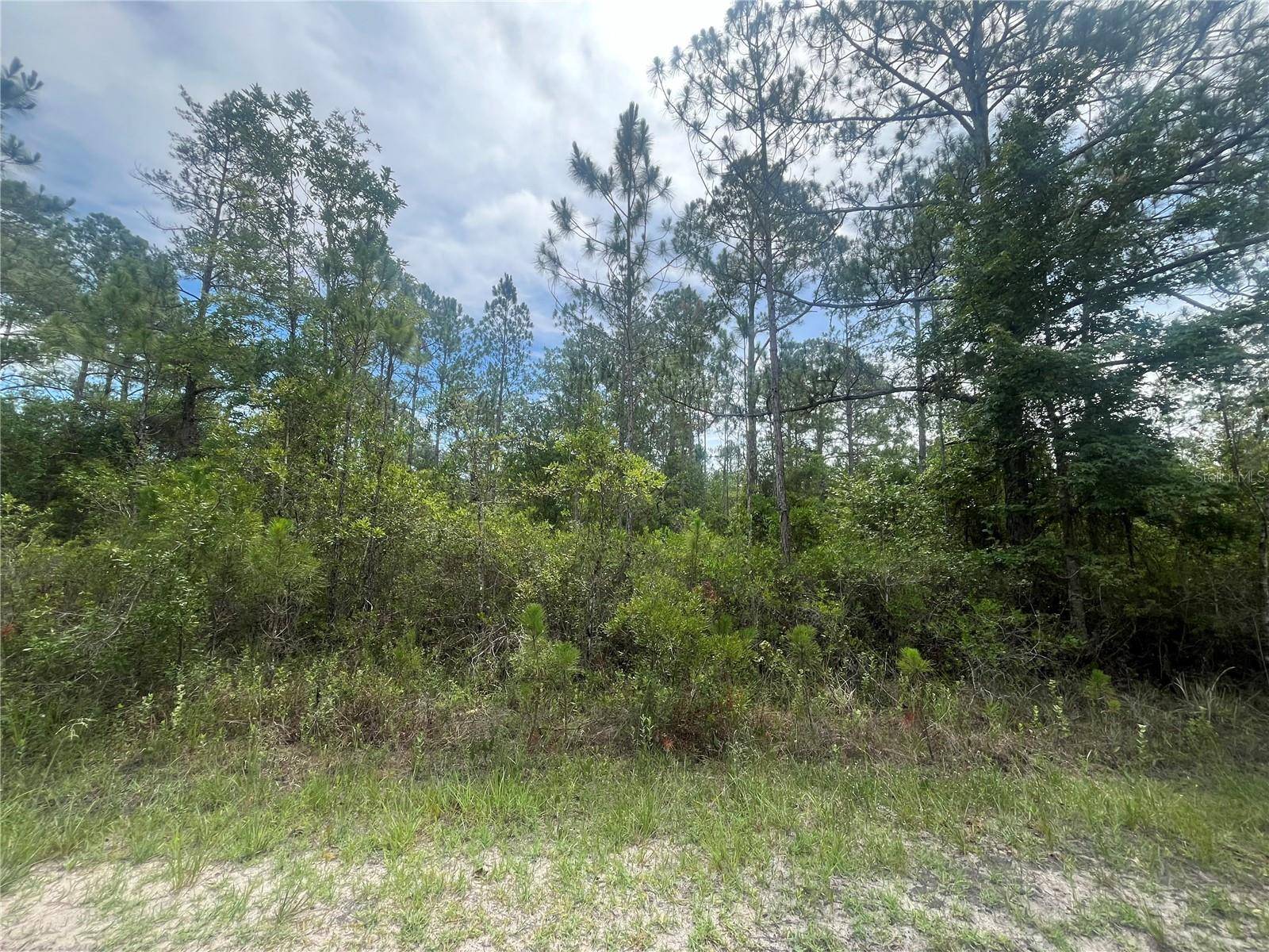 Hastings, FL 32145,WEATHERBY