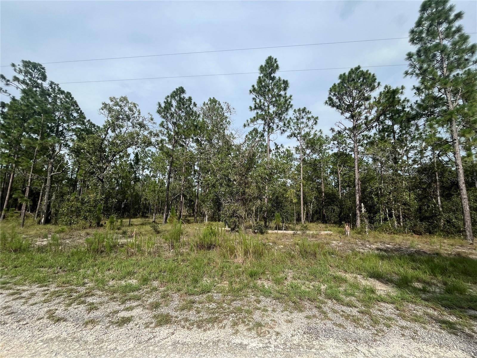 Dunnellon, FL 34431,TBD 133RD AVE