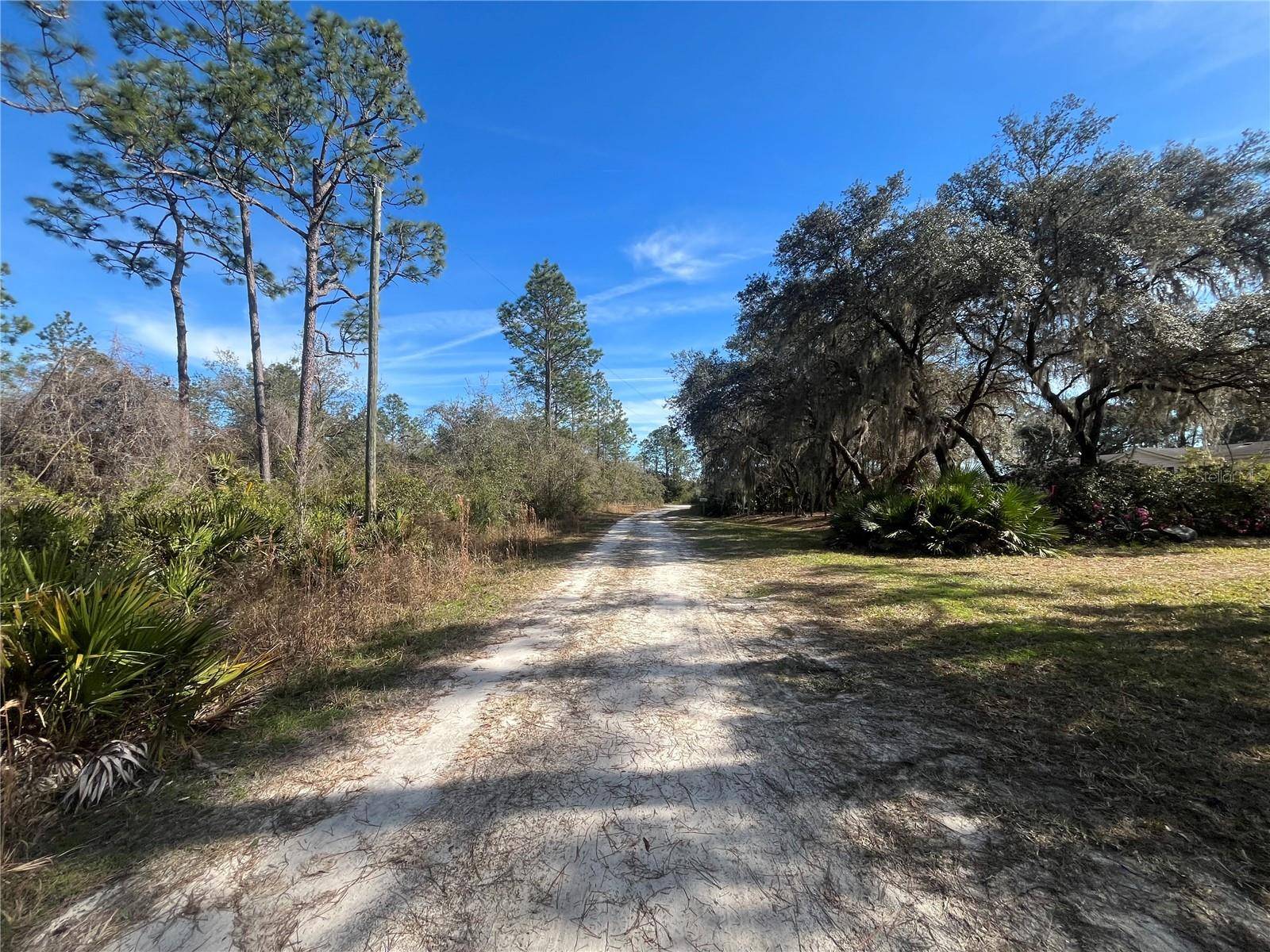 Interlachen, FL 32148,APPALOOSA