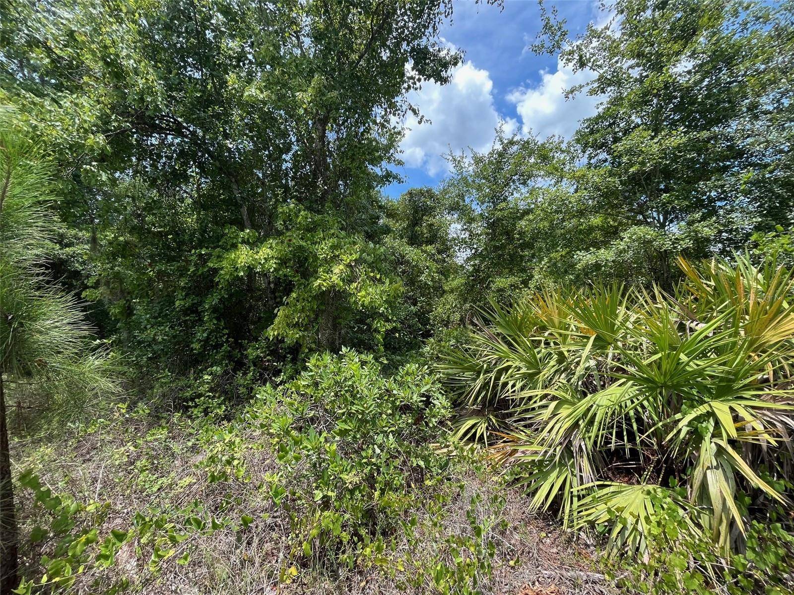 Satsuma, FL 32189,125 CARR PL