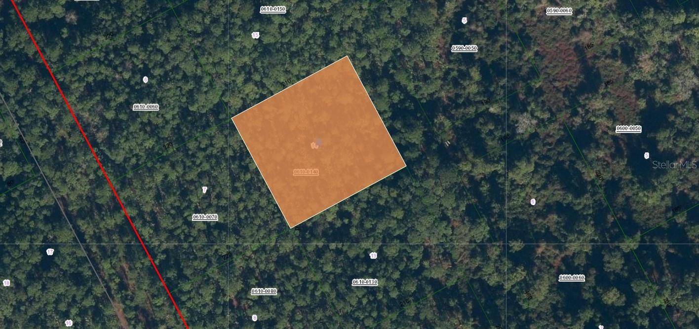 Satsuma, FL 32189,125 CARR PL