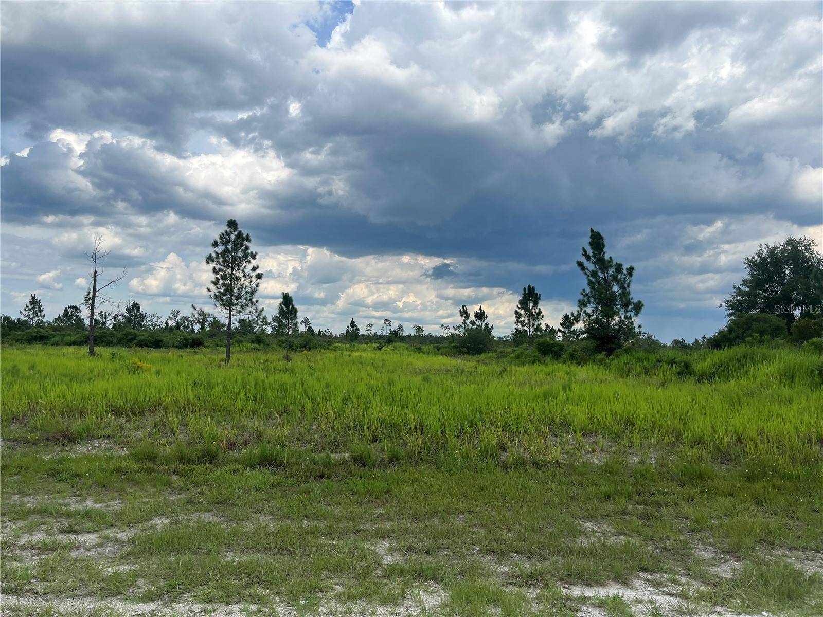 Indian Lake Estates, FL 33855,PINNATA DR