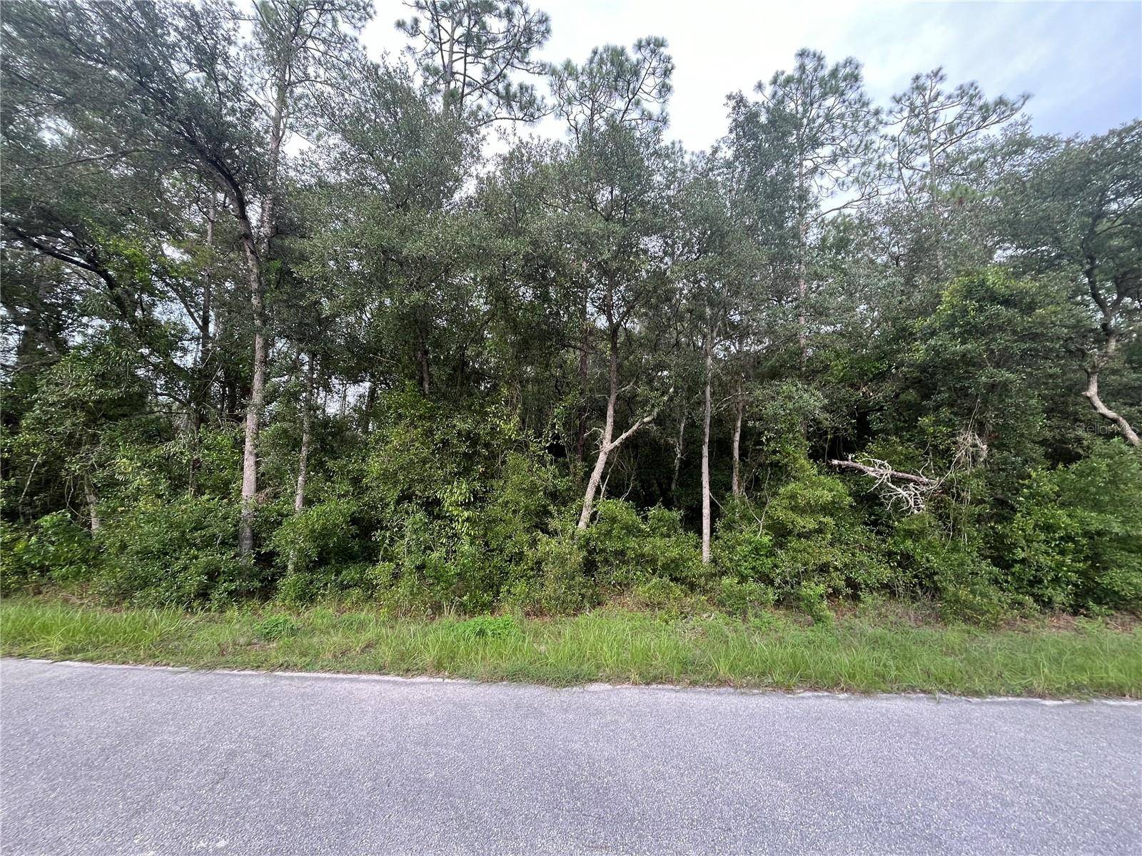 Dunnellon, FL 34431,HUNTER HILL AVE