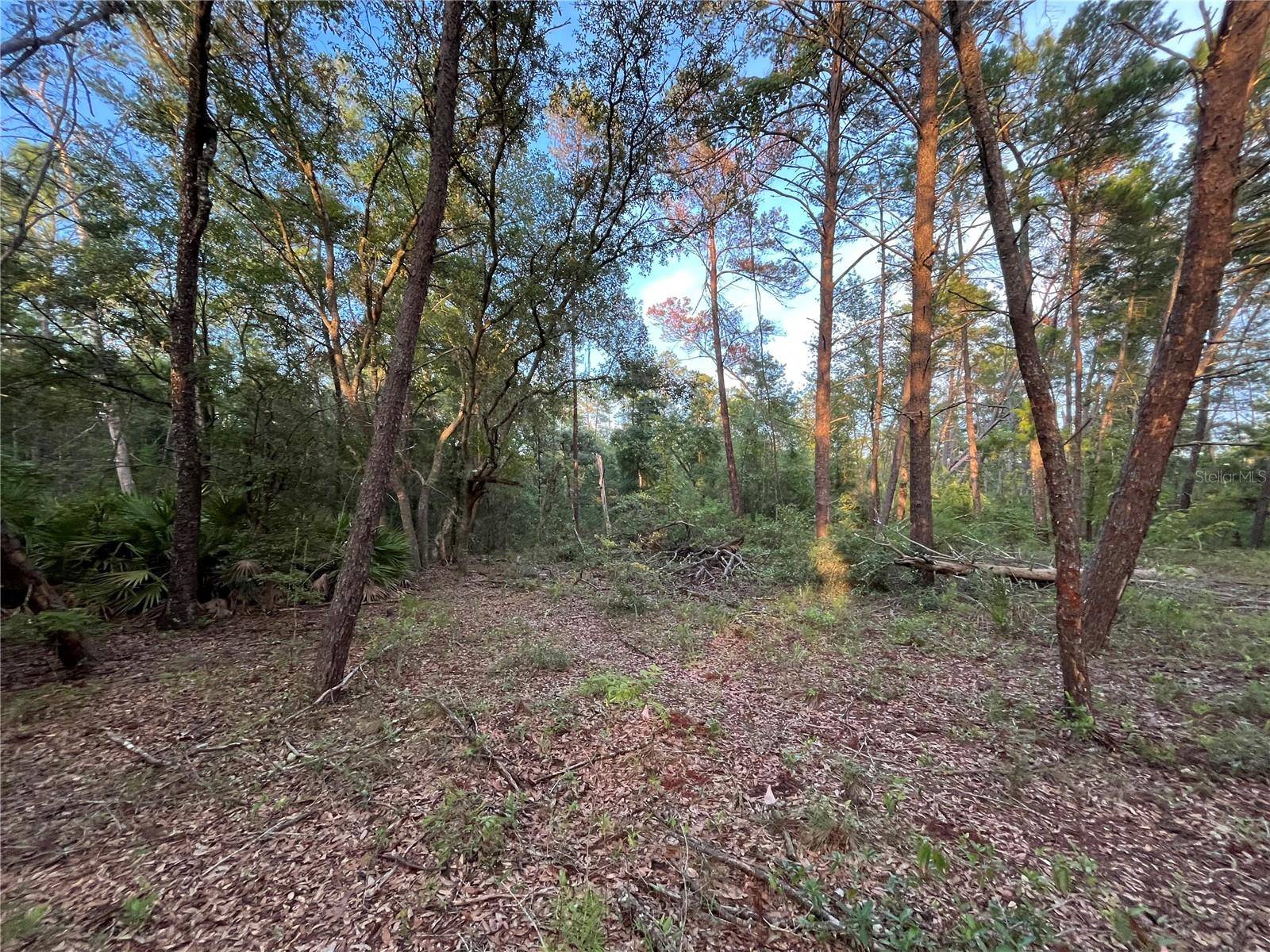 Interlachen, FL 32148,0 TWIN LAKES RD