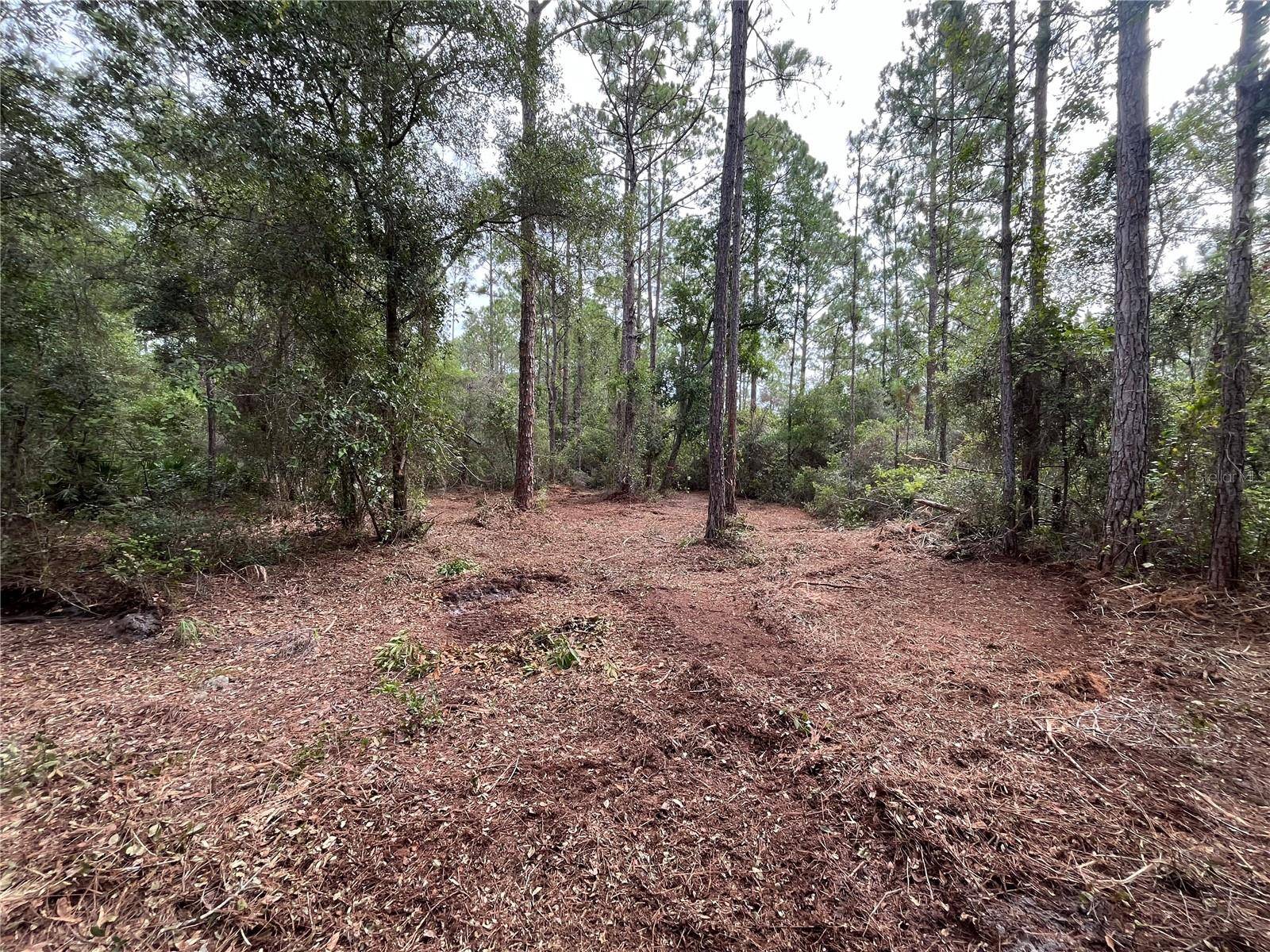 Georgetown, FL 32139,122/124 GLENSIDE ST