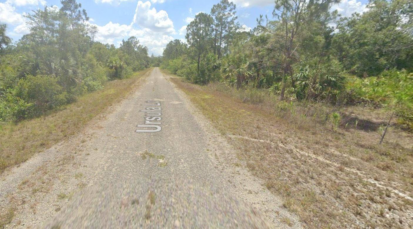 Lehigh Acres, FL 33972,380 URSULA LN