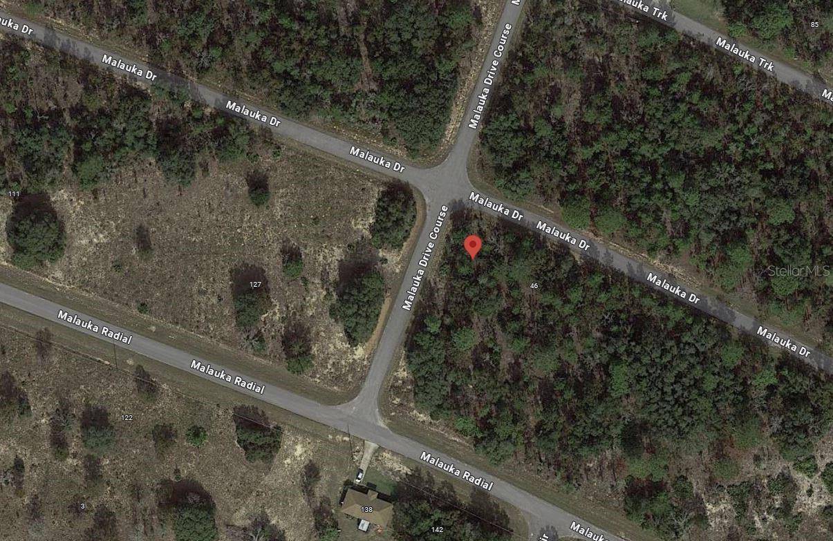 Ocklawaha, FL 32179,MALAUKA DR