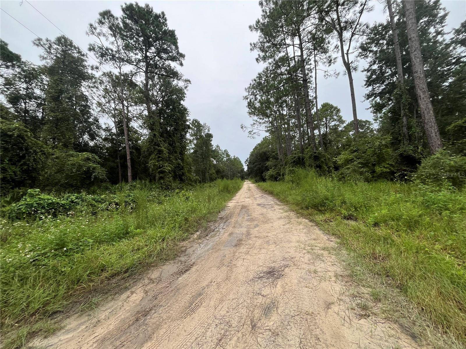 Satsuma, FL 32189,HICKORY NUT TRL