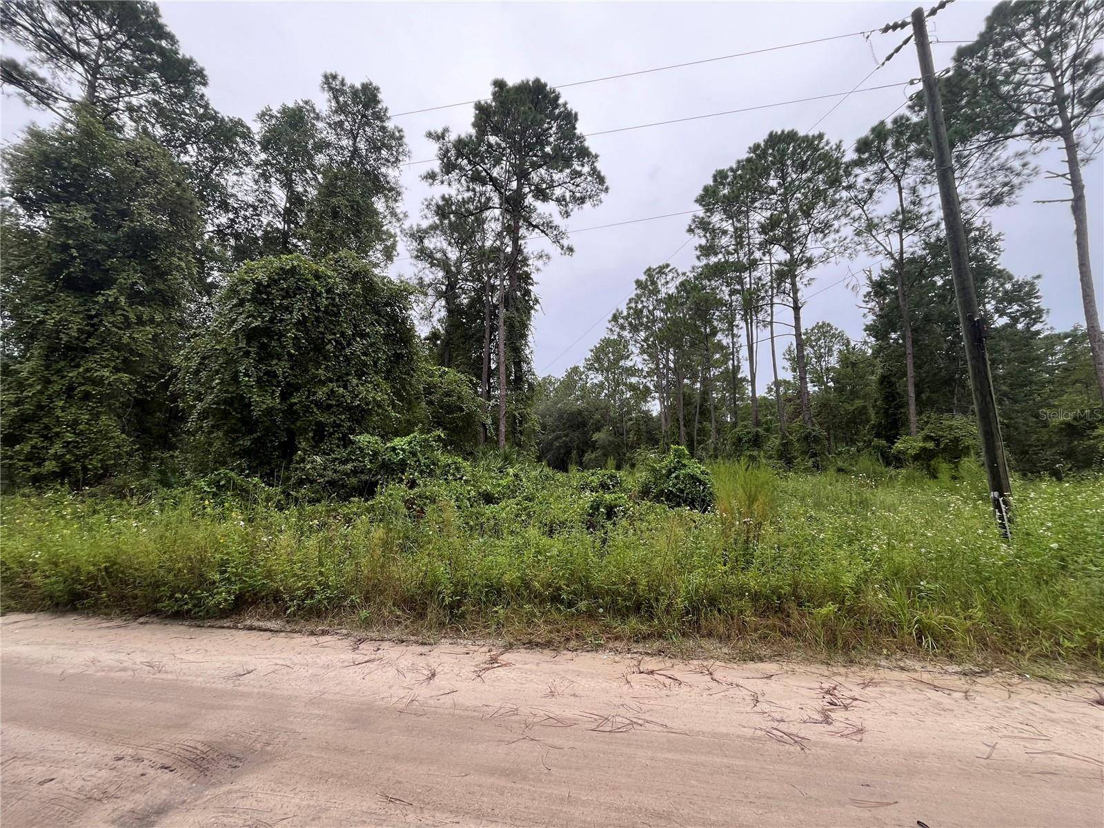 Satsuma, FL 32189,HICKORY NUT TRL