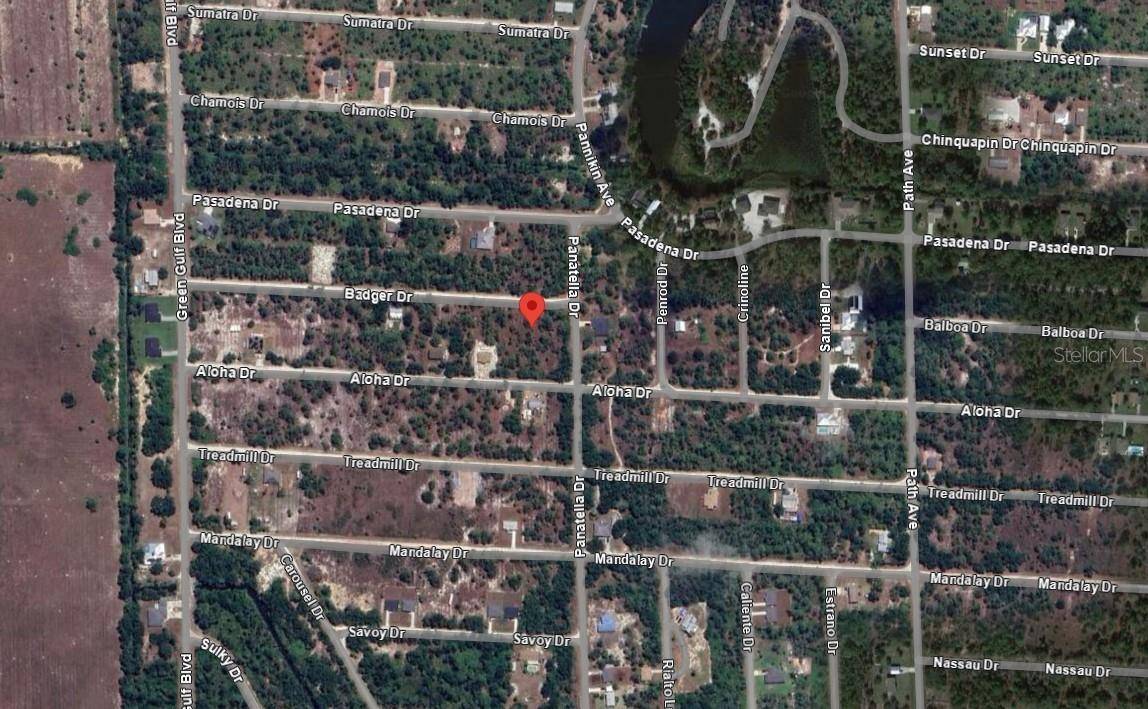 Punta Gorda, FL 33955,27141 BADGER DR