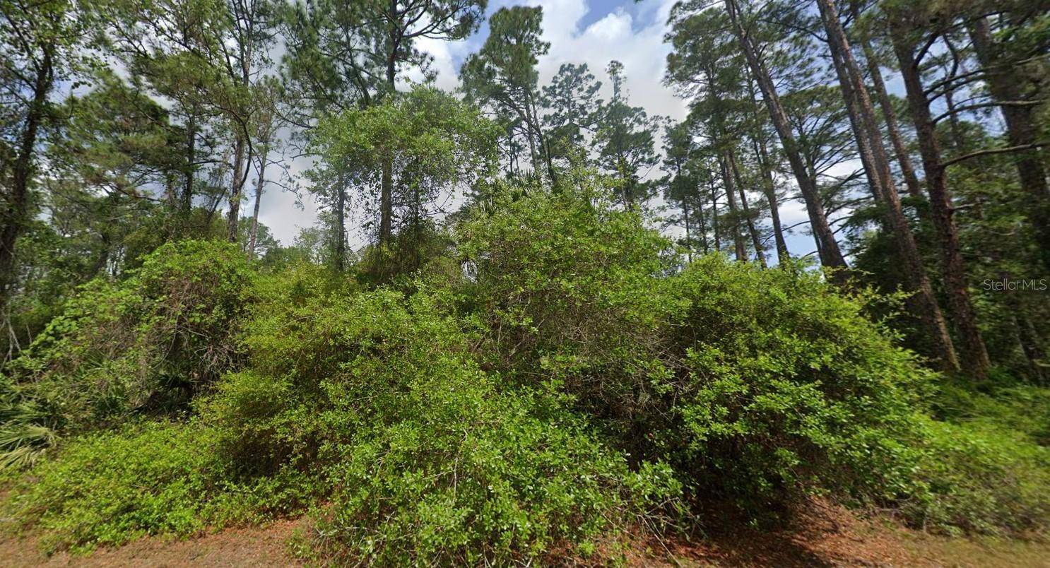 Georgetown, FL 32139,120 GARDENIA AVE