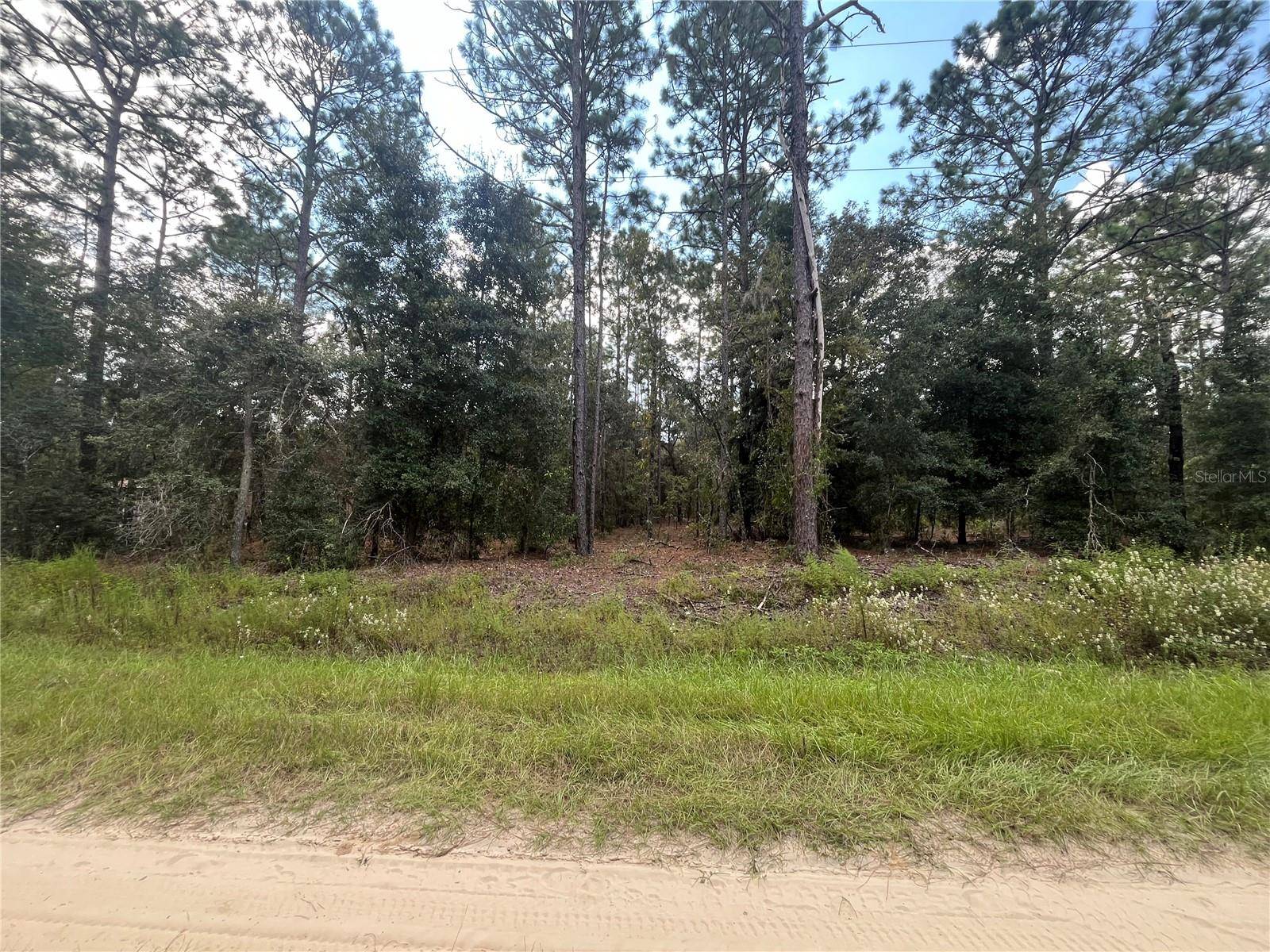 Dunnellon, FL 34432,82ND LN