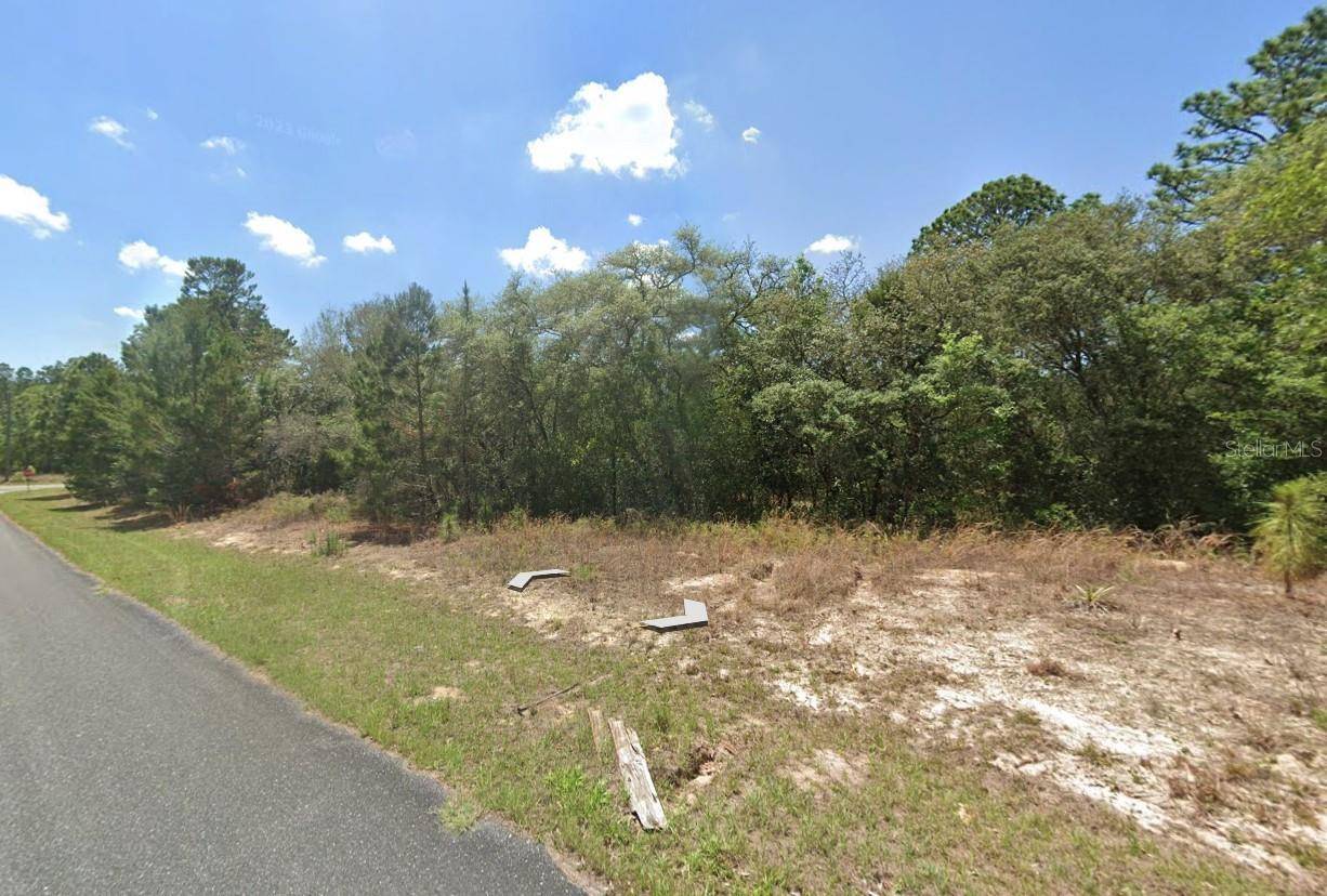 Citrus Springs, FL 34433,8894 N LISA TER