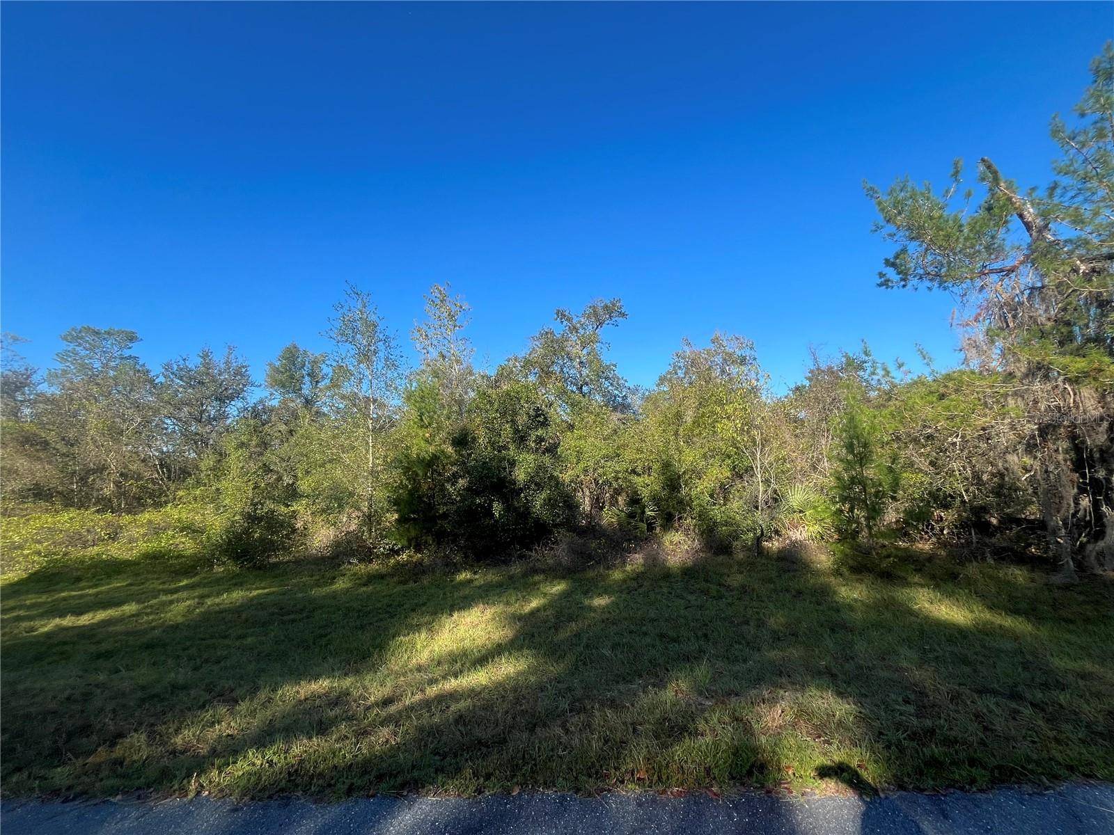 Ocala, FL 34473,165TH LN