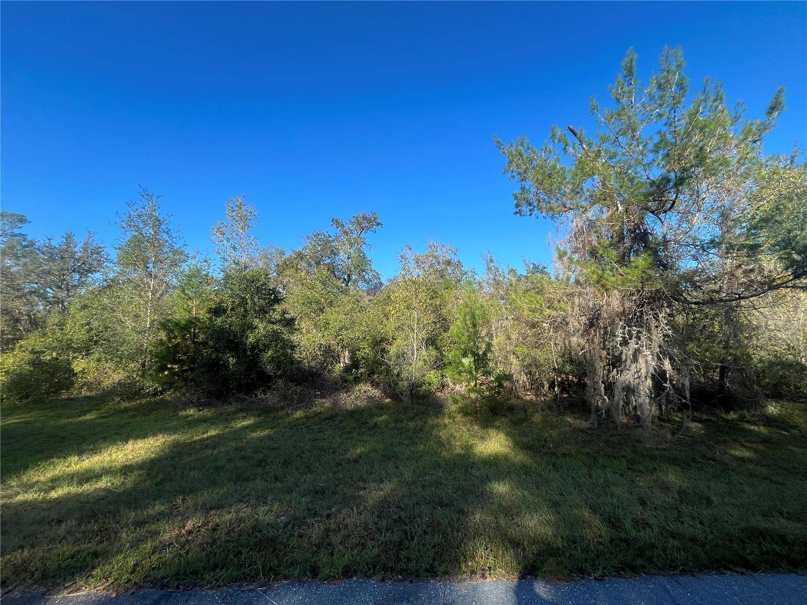 Ocala, FL 34473,165TH LN