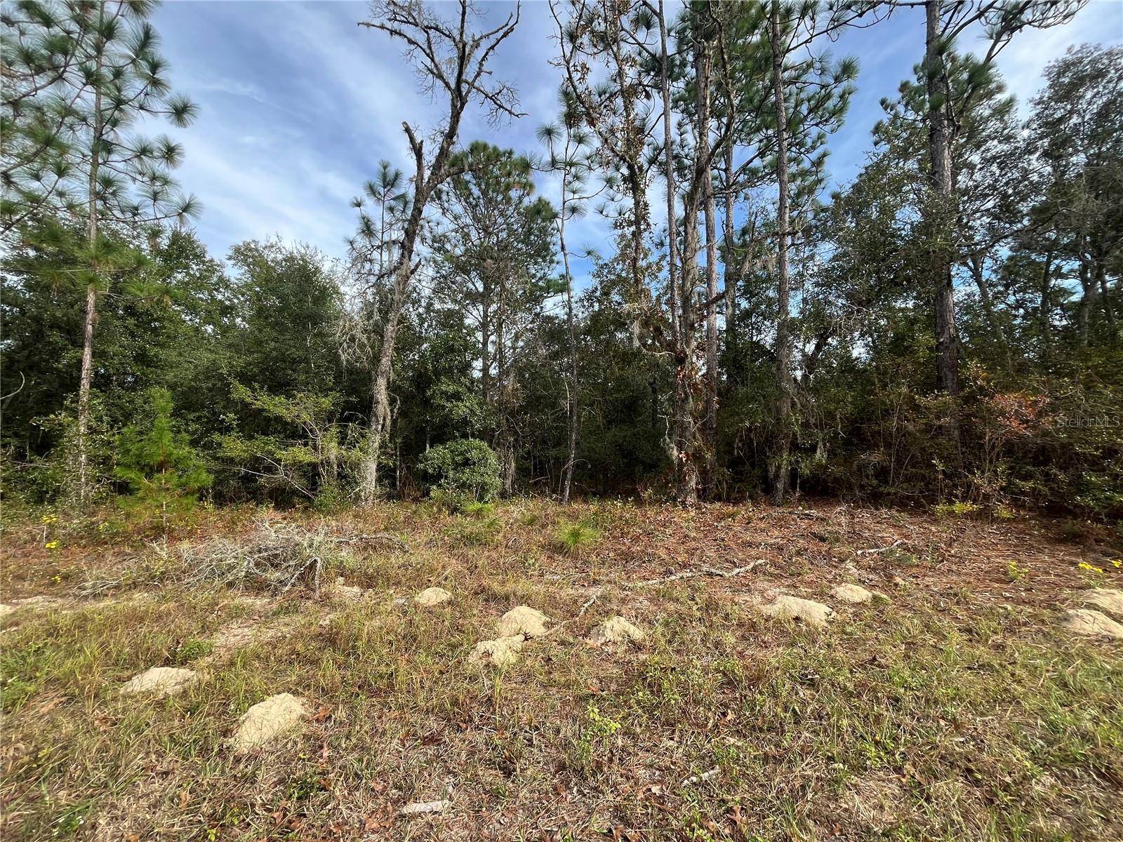 Dunnellon, FL 34434,10189 N JACOBSON WAY