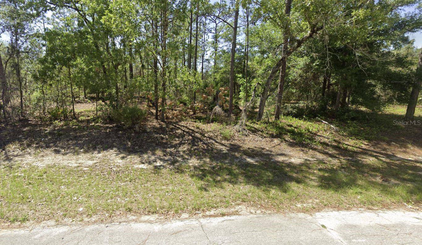 Dunnellon, FL 34434,10189 N JACOBSON WAY