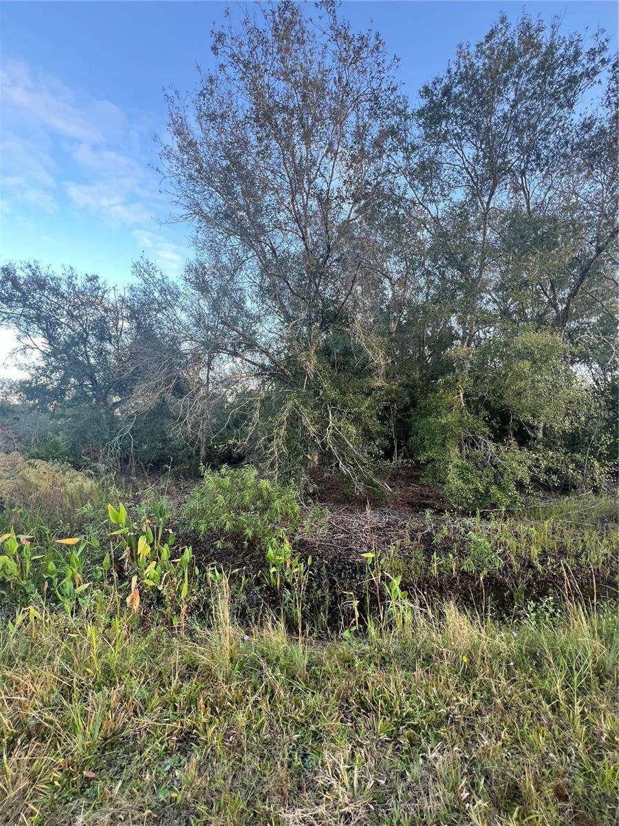 Okeechobee, FL 34972,17543 NW 252ND ST