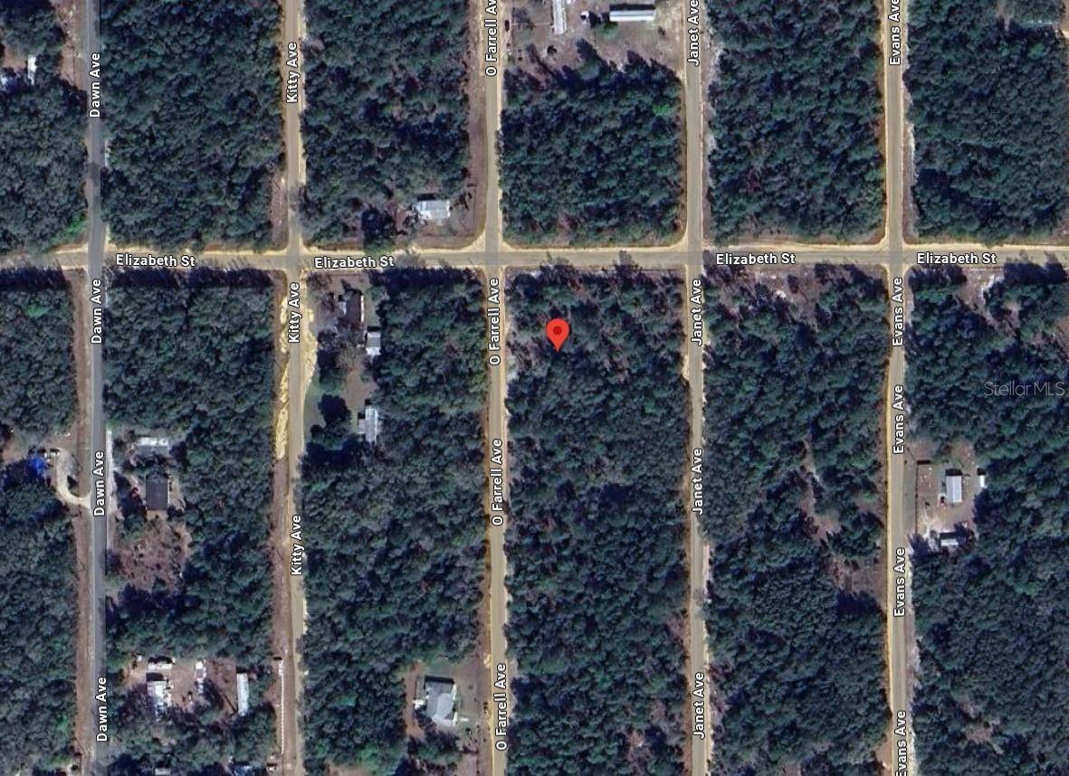 Interlachen, FL 32148,OFARRELL AVE