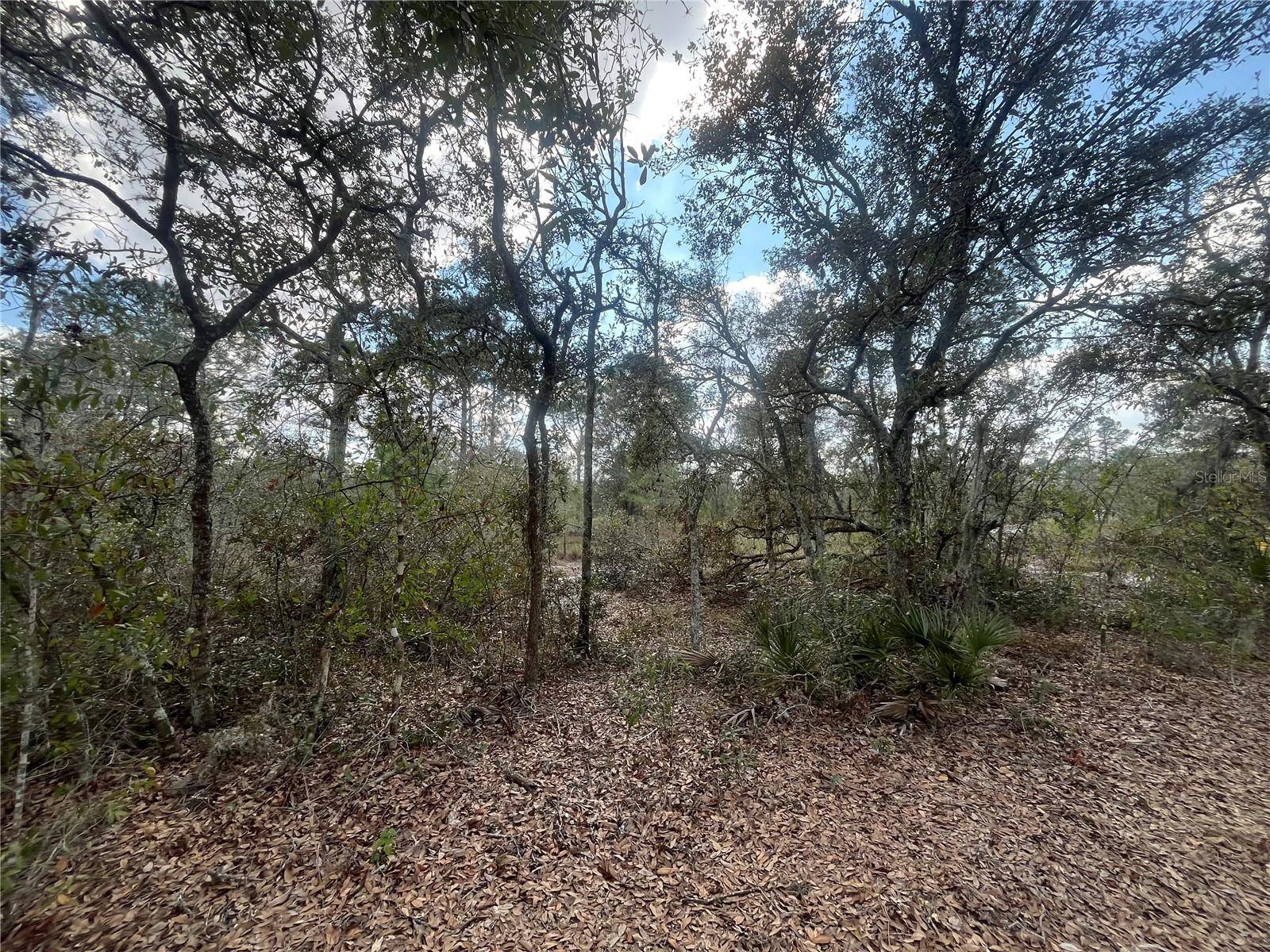 Avon Park, FL 33825,2925 W BANDRA RD