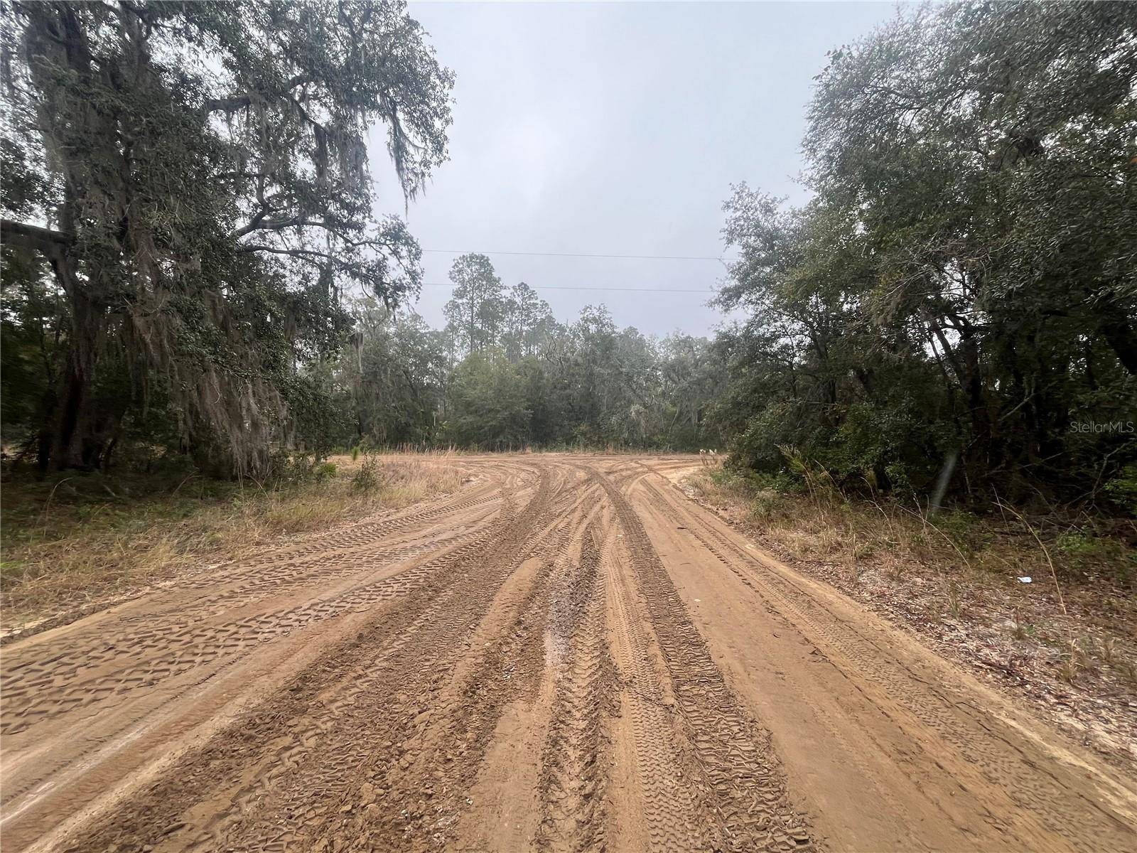 Interlachen, FL 32148,PAT AVE