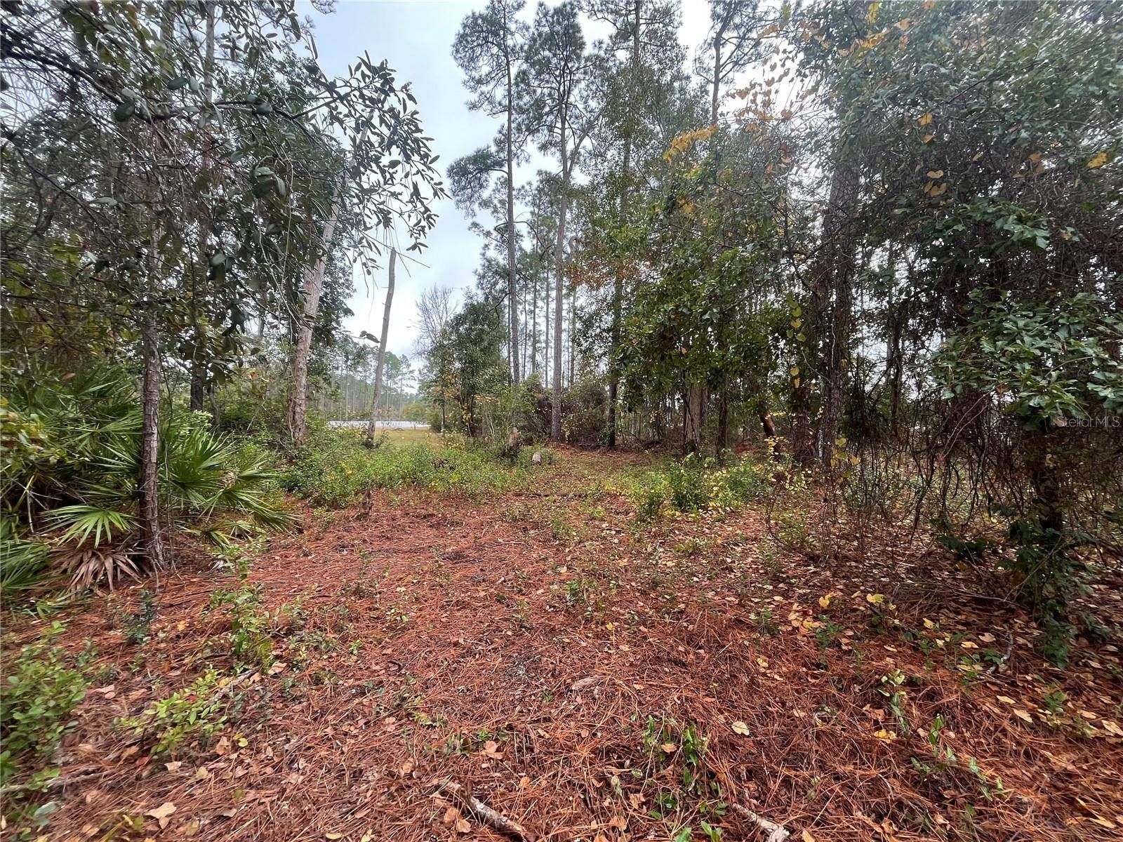 Interlachen, FL 32148,SUSAN ST