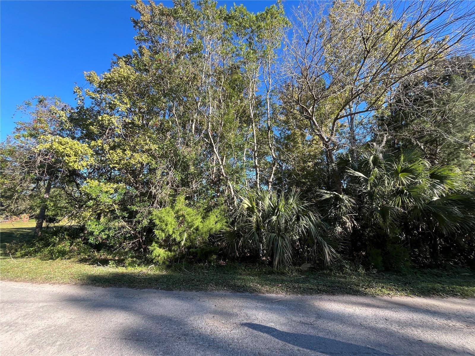 Homosassa, FL 34448,9667 S LOTUS PT