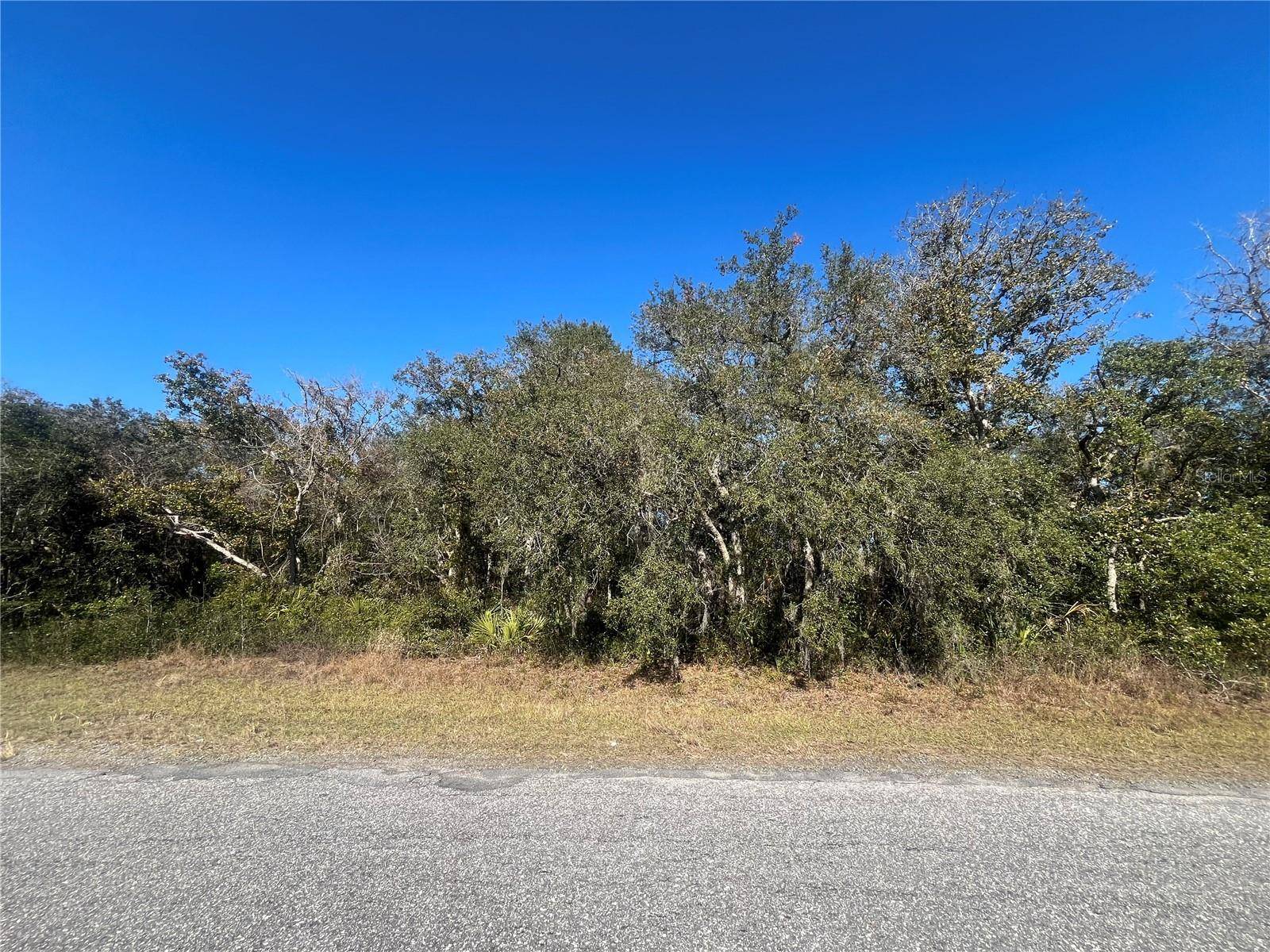 Ocala, FL 34473,13589 SW 27TH CIR