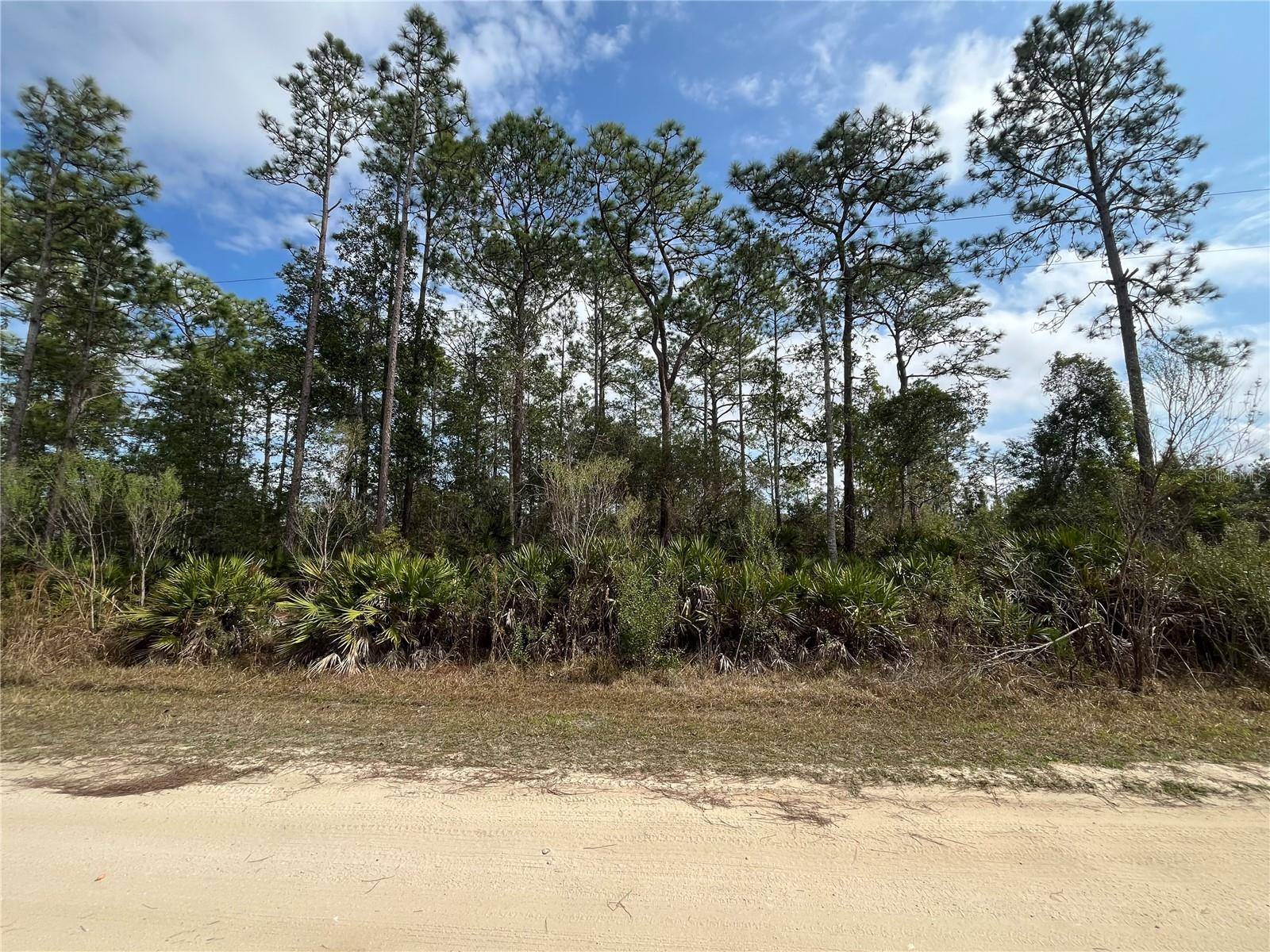 Interlachen, FL 32148,206 ROYAL AVE