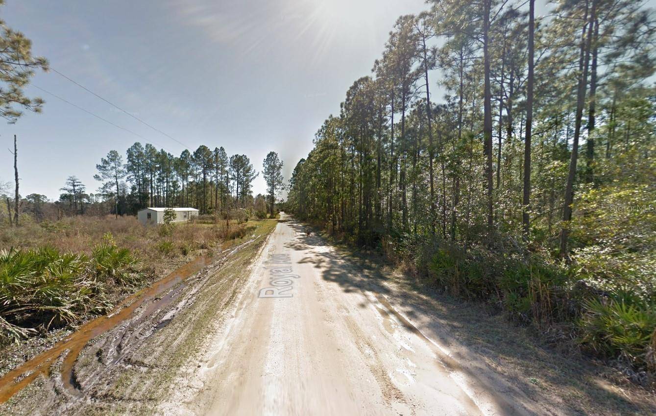 Interlachen, FL 32148,206 ROYAL AVE
